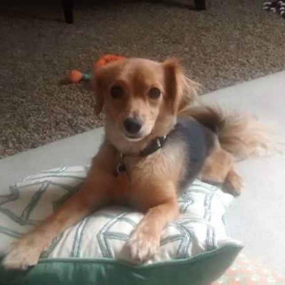 ππMEET THE POSHER ππ - Picture 2 of 2